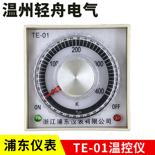 厂家直销浙江浦东仪表温度控制仪器仪表 TE-01
