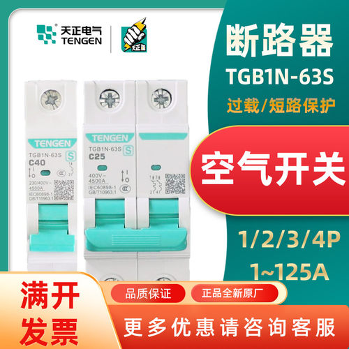 TENGEN天正电气空气开关32A家用小型断路器TGB1N-63S过载短路保护