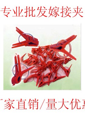 厂价直销批蔬菜水果/西瓜黄瓜/茄子嫁接夹子木麒麟嫁接蟹爪兰用
