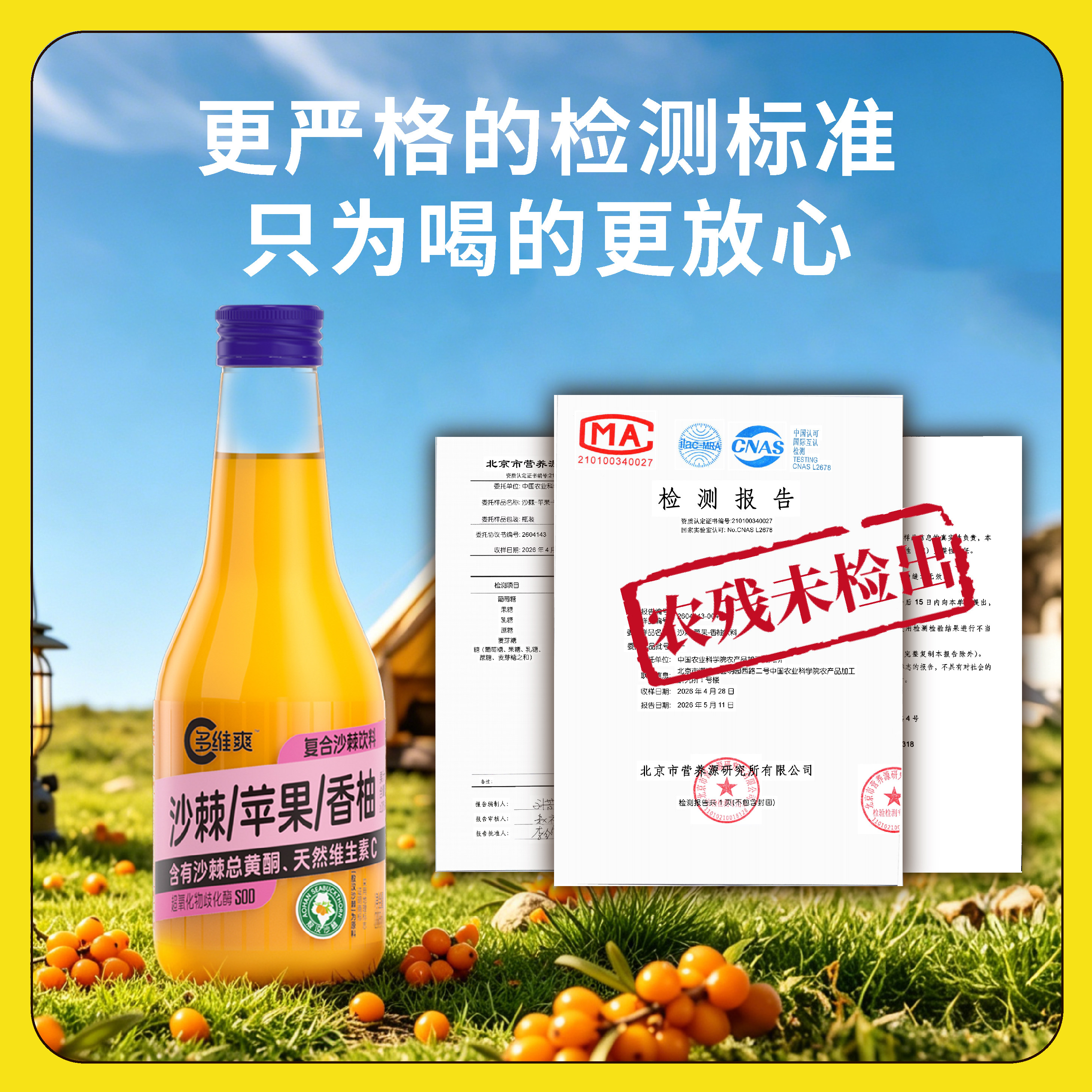 内蒙古特产 沙漠之花 多维爽沙棘汁天然VC 复合果汁饮料235ml*6瓶
