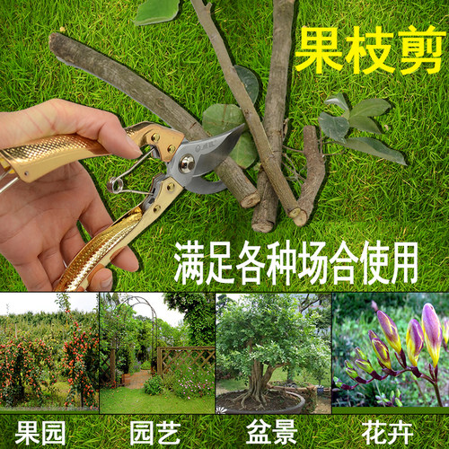 威达园艺果枝剪修枝剪树枝剪刀果树剪粗枝剪园林工具花剪花艺剪刀
