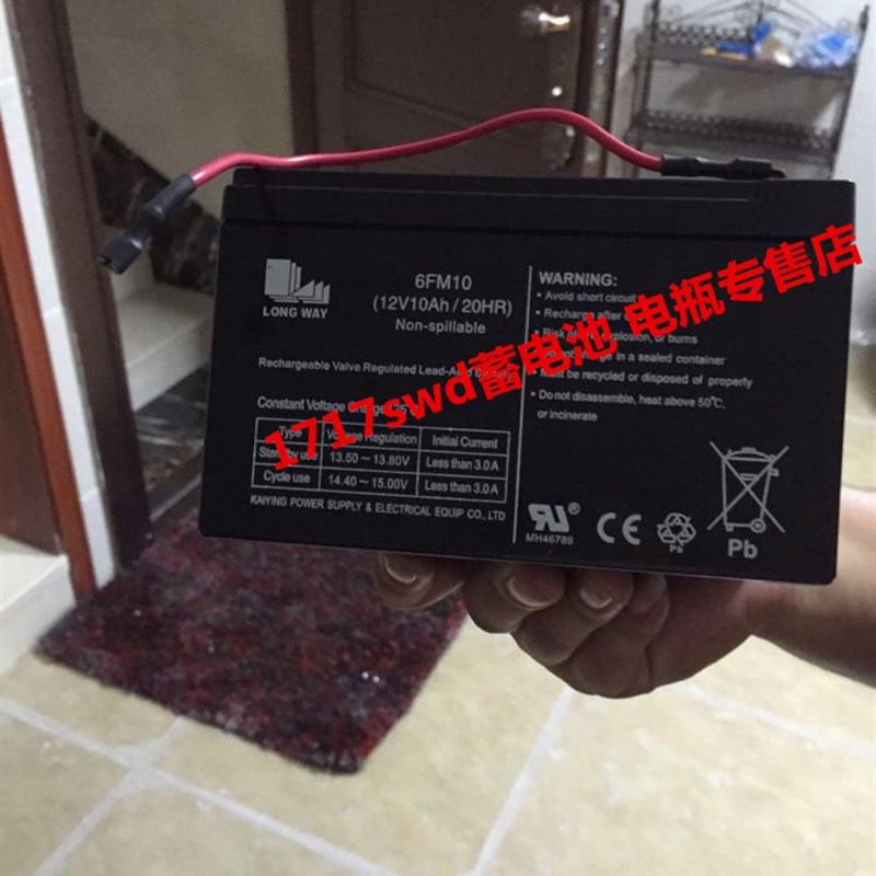 LONG WAY蓄电池 6-FM-10 12V10AH/20HR 音响 音箱 仪器仪表用电瓶