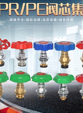 国标精品 PPR截止阀阀芯 全铜外螺纹加厚水阀门水管管件配件包邮