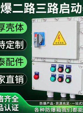 防爆启动器防水防尘配电箱二回路风机水泵开关防爆检修箱220V380V