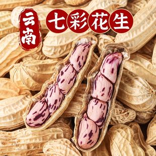 【年终立减30】今年新货正宗云南七彩花生富硒带壳新鲜花生晒干
