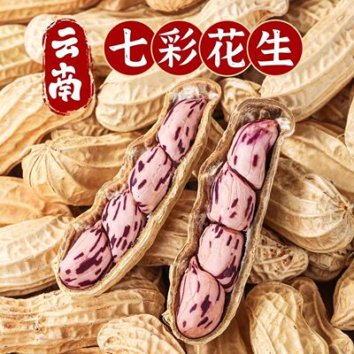 开春矩惠【立减30】新货正宗云南七彩花生富硒带壳新鲜花生晒干6
