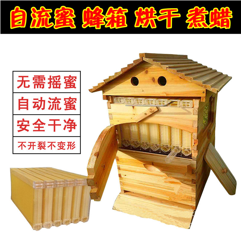自流蜜蜂箱蜜蜂蜂箱全自动全套蜜蜂别墅自流蜜蜜蜂箱批发蜜脾蜂巢