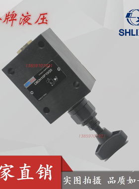 DBDH20P10/31.5上海立新液压溢流阀DBDS20P DBDH20G DBDS20G10/20