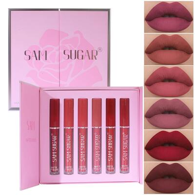 6 Colors Long Lasting Lip Makeup Kit 6 色唇彩礼盒 雾面口红
