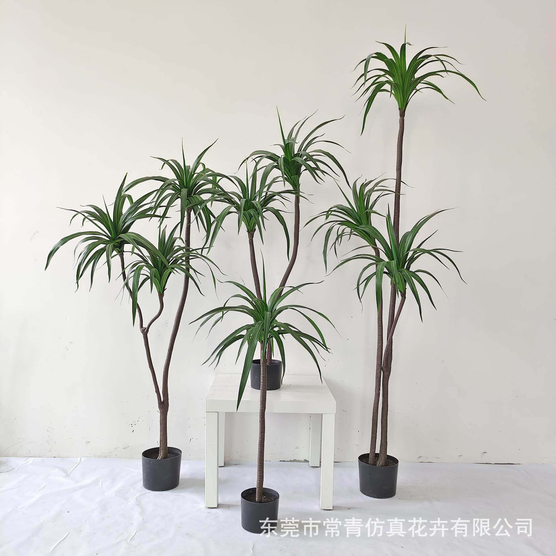 ins风格常青仿真绿植盆栽家居落地饰品摆件巴西铁龙血铁树真,家居饰品,仿真植物盆景,淘宝优惠券,粉丝福利购,淘宝优惠卷