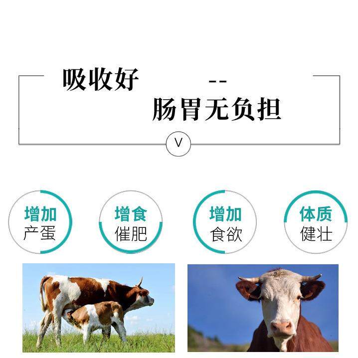 氨基电解多维 鸡鸭猪用维生素 猪畜禽用多种维生素电解多维