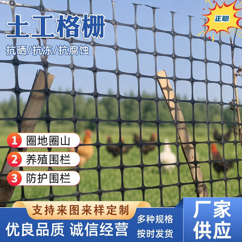 养鸡塑料围栏网 土工格栅 鱼塘防护网大棚托膜圈地养殖网围栏加厚
