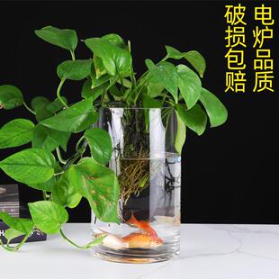 创意加厚直筒玻璃鱼缸圆柱形大号客厅落地花瓶水培透明玻璃摆金小