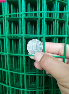鸡笼网 铁丝网养鸡场用菜园围栏网子家用隔断户外养殖网防护栅