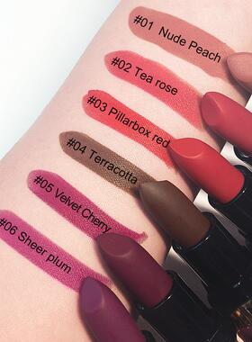 6Pcs Matte Long-Lasting Lipstick Set 6支豆沙火龙果色口红套装
