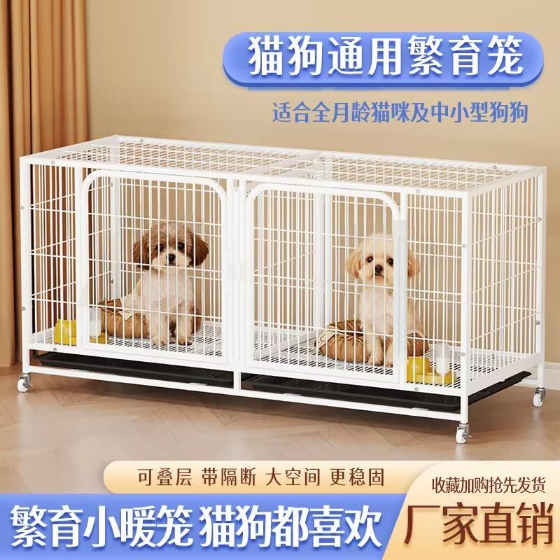 猫狗笼子一体双层繁殖笼中型犬小型犬宠物店寄养繁育笼猫笼带托盘