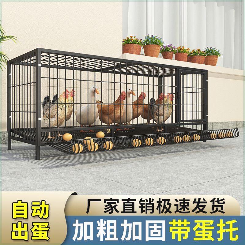 鸡笼子折叠家用养殖加粗兔子笼鸭笼鹅笼狗笼自动滚蛋鸡笼厂家直发