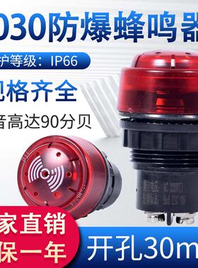 BD8050防爆蜂鸣器8030警报灯闪烁灯声光报警器220v24V信号警示灯