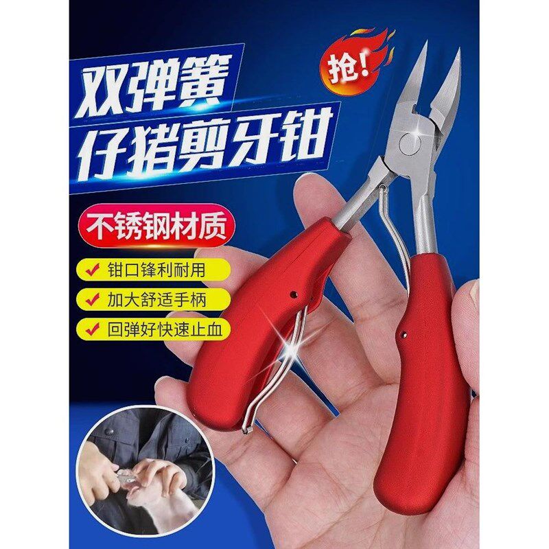 德国进口精选出口型仔猪剪牙钳双弹簧不锈钢剪齿小猪兔子断牙钳猪