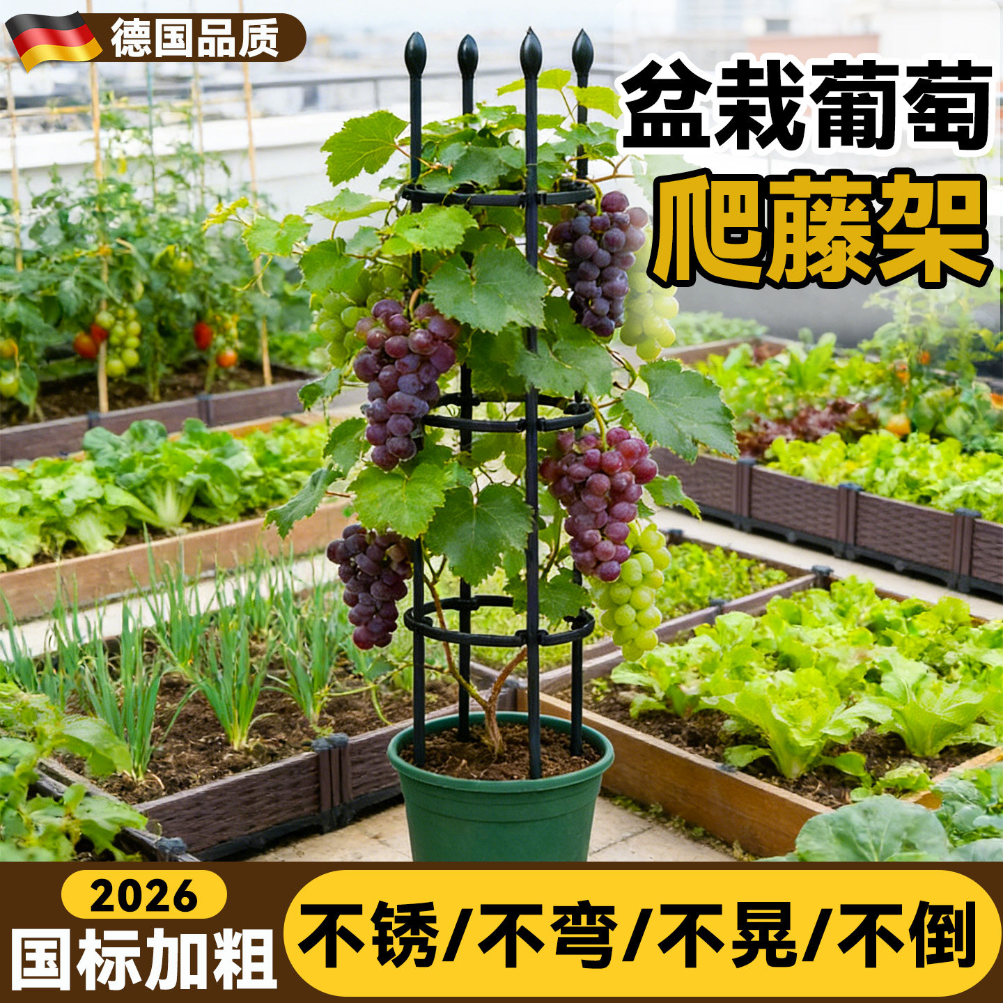 葡萄盆栽爬藤架黄瓜西红柿支架子阳台楼顶种菜架子辣椒花盆支撑架图片
