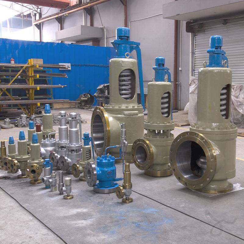 弹簧式安全阀 A22H-16/25/40C 氧气 弹簧全启式外螺纹安全阀 介质