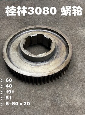 桂林机床厂钻床机床配件ZQ3063/ZQ3080蜗轮涡轮Z60/L51内6-8020