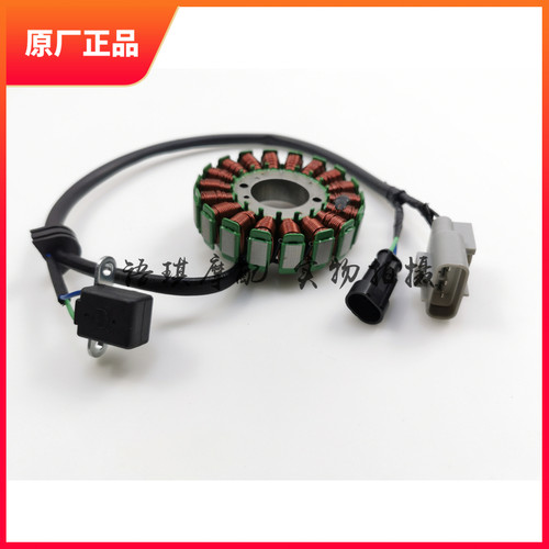 贝纳利小黄龙BJ250-15/A/E小幼狮250小金鹏251磁电机线圈定子组件
