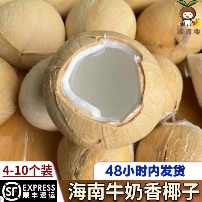 【顺丰空运】海南牛奶香椰子三亚小奶椰新鲜水果椰皇礼盒特产椰青