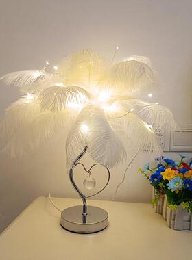 驼鸟毛台灯羽毛台灯心翼水晶驼鸟灯白色粉色卧室床头装饰小台灯