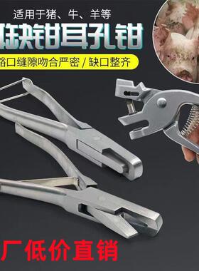 兽用不锈钢U型耳缺钳 v型夹耳钳 防疫耳钳猪用耳孔钳记号钳
