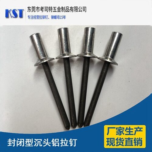 封闭沉头铝铁抽芯铆钉 防水沉头拉铆钉 铝合金封闭拉钉防水铝铆钉