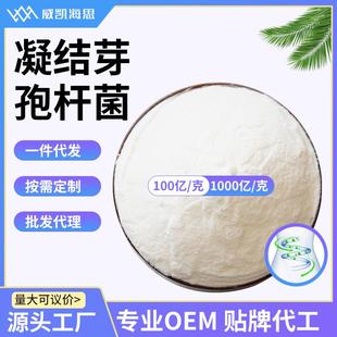 益生菌混合饲料添加水产畜牧养殖乳酸菌原料粉100亿 凝结芽孢杆菌