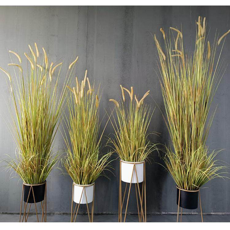 现货仿真芦苇狗尾巴草大型绿色洋葱草盆栽室内仿真草狗尾草盆,鲜花速递/花卉仿真/绿植园艺,仿真绿植,淘宝优惠券,粉丝福利购,淘宝优惠卷