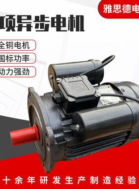 单项异步电机YL100L322极4.5W220V单相电动机2880转铜线