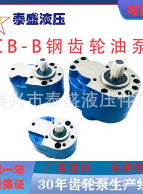 钢齿轮油泵CB-B6/B4/2.5/B10/16/25/B32/40/50/B63/B80/B125液压F
