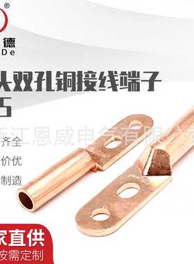 双孔铜鼻子DTS-25/35/50/70/95/120铜线鼻子接线端子双眼线耳紫铜