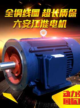 六安江淮电机YE3/YE5一级能效YVF2变频注塑机专用三相异步电动机