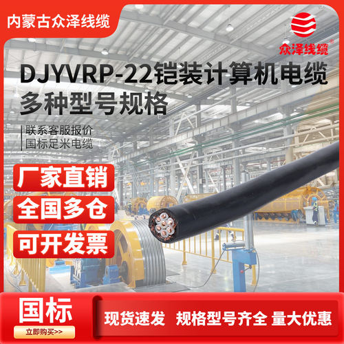 铜芯阻燃屏蔽铠装计算机电缆