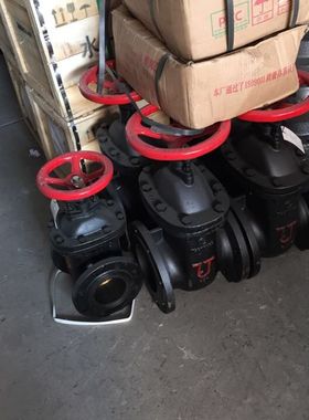 竹箦闸阀  花山闸阀 铸铁法兰闸阀 铜芯铜杆闸阀DN100 80 65 150