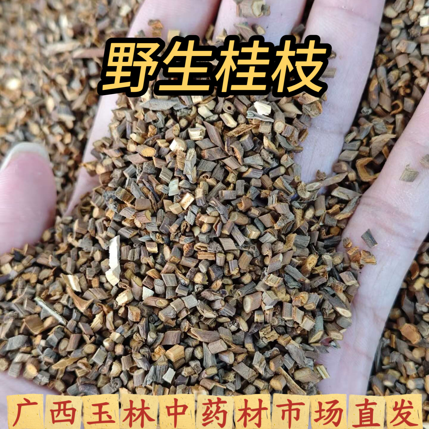 深山野生桂枝尖嫩桂枝中药材泡脚