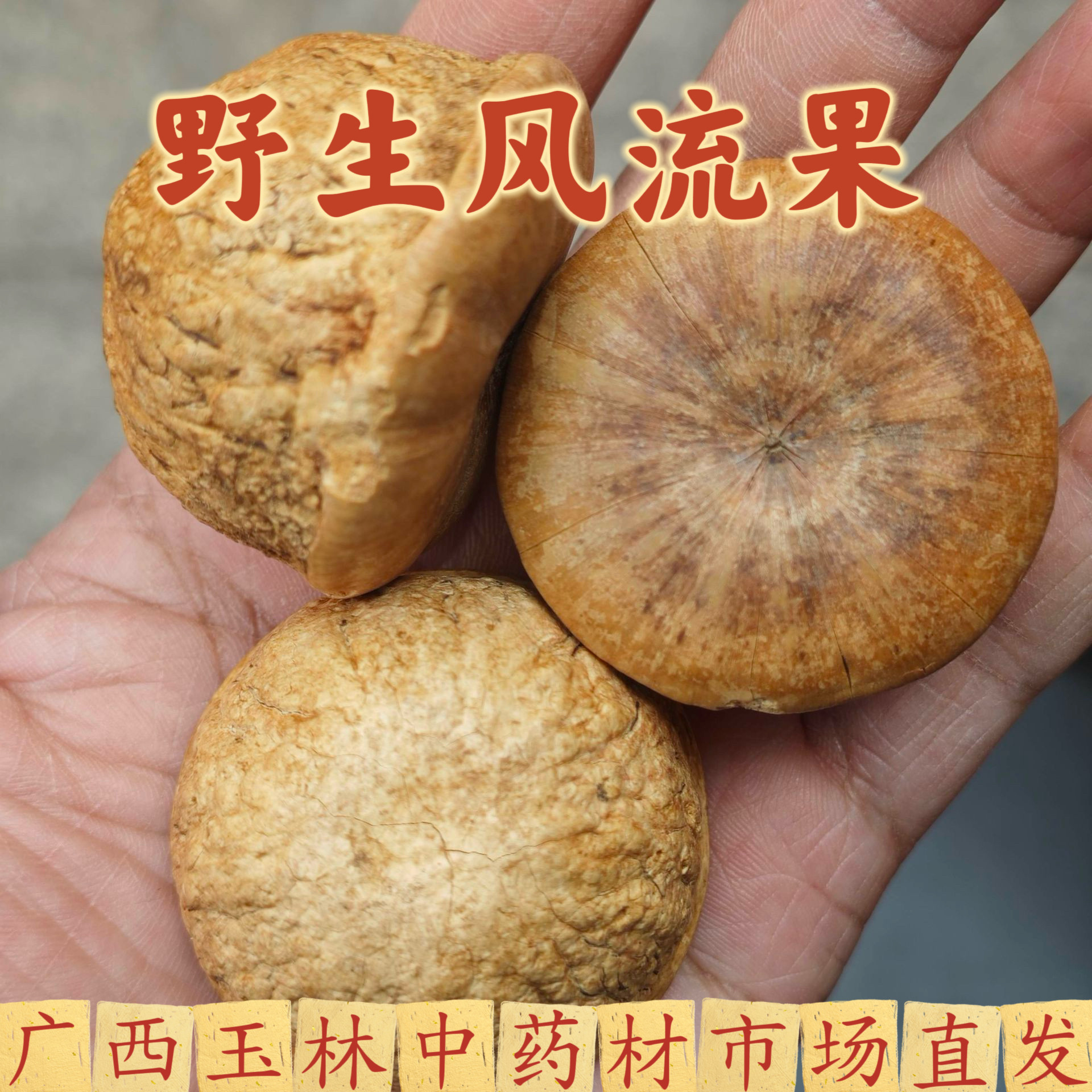 广西野生风流果石头果新晒干货男性泡酒水煲汤胖头果厚鳞柯中药材
