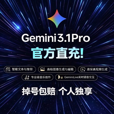 Gemini3pro！个人独享