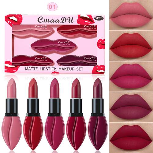5Pcs Matte Lipstick Set 5 支哑光口红套装 雾面丝绒质地