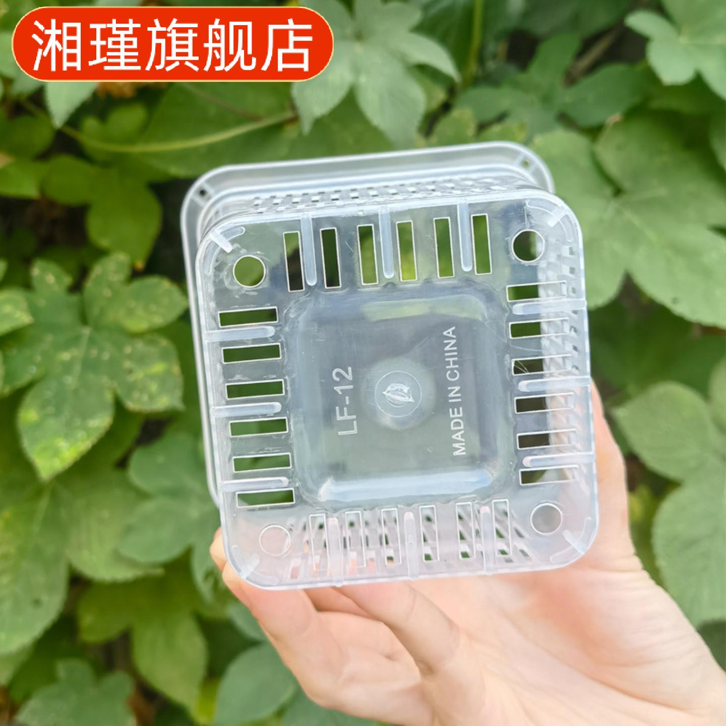 水苔兰专用透明方盆控根透气花盆