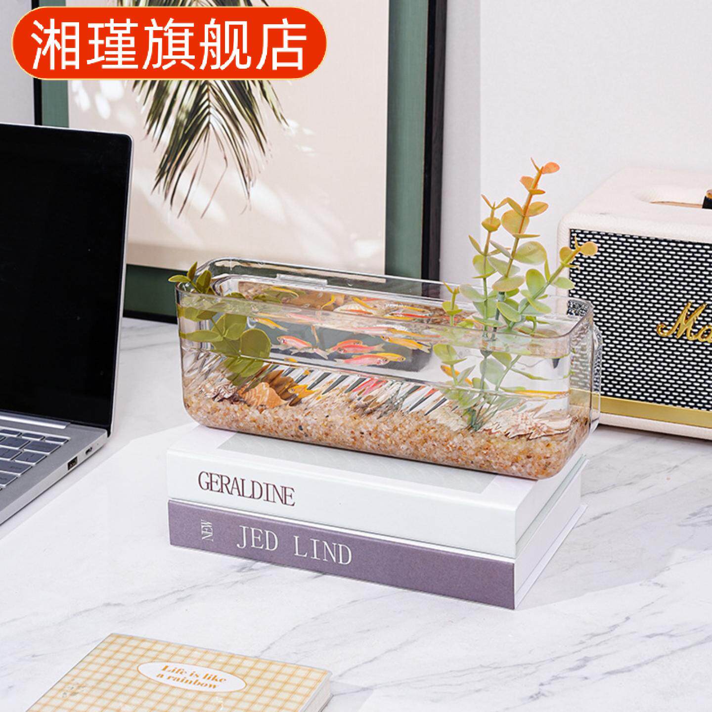 墙壁塑料花瓶办公室壁挂鱼缸水培