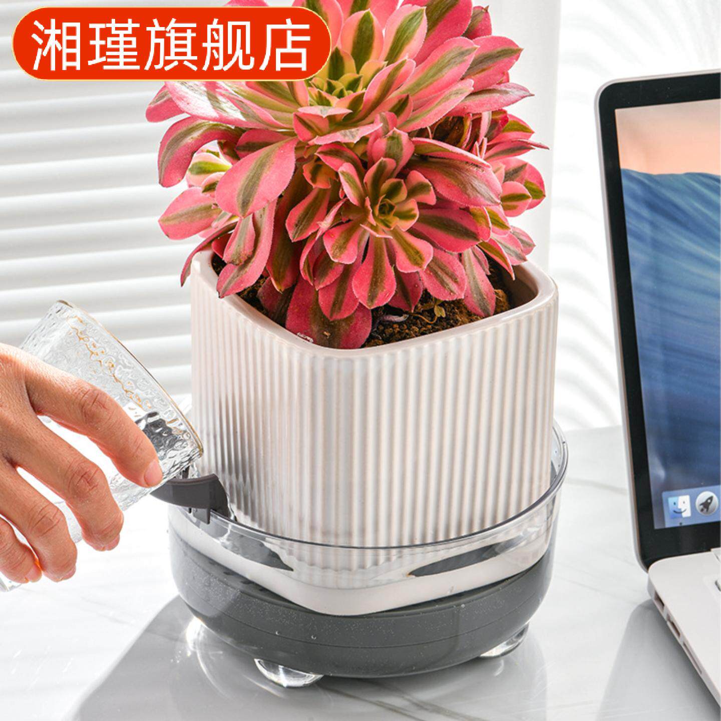 创意懒人自动吸水旋转花瓶|干湿