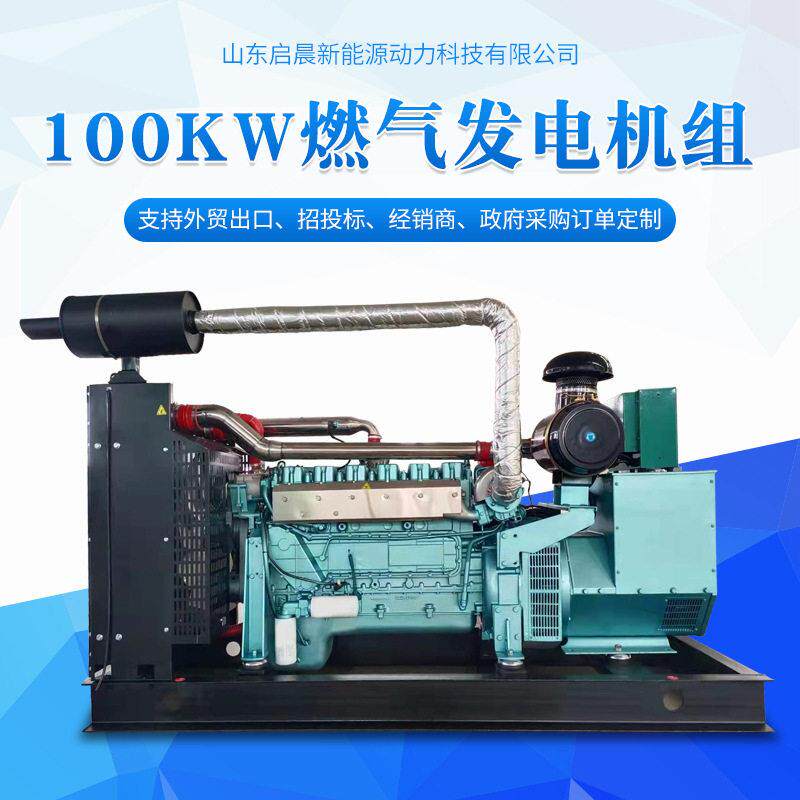 源头厂家100kw沼气发电机燃气发电机组康明斯技术全铜无刷电机
