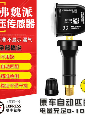 哈弗H6胎压监测传感器电池全新H6H2SF5F7魏派VV567H4胎压传感器