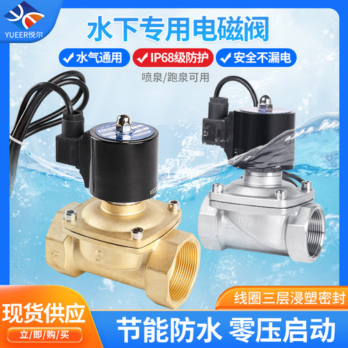 水下防水电磁阀220V24V4分6分1寸喷泉灌溉管道电子开关控制阀阀门