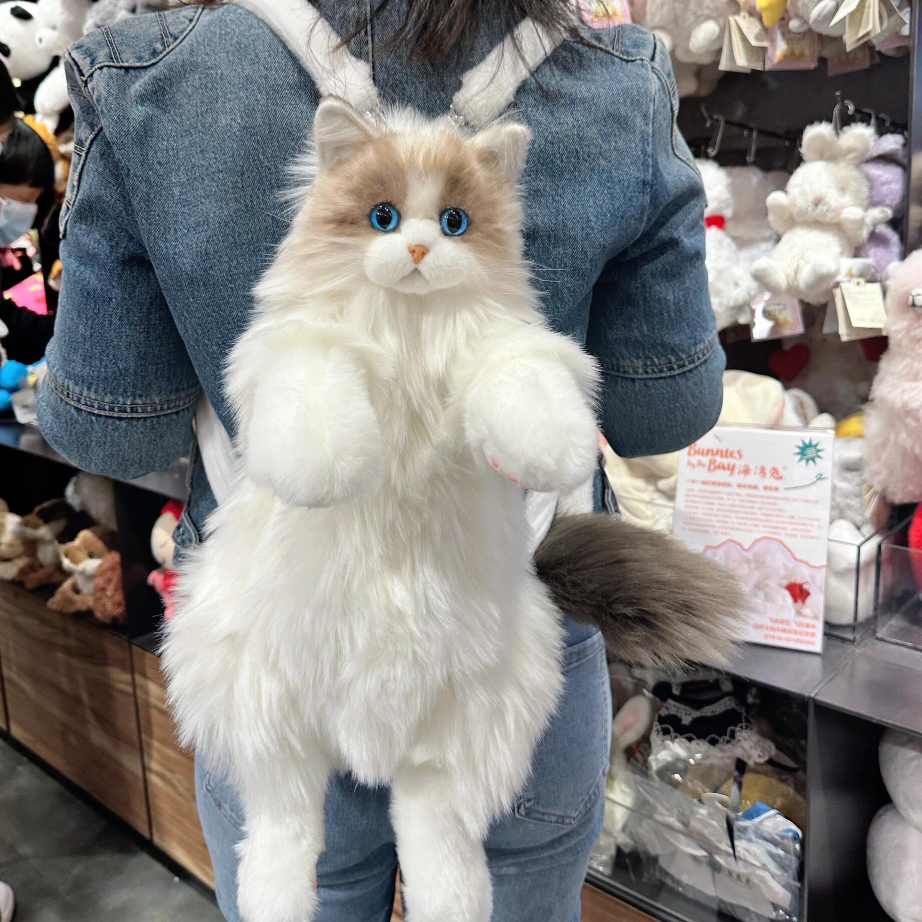 猫背包玩偶公仔可爱的